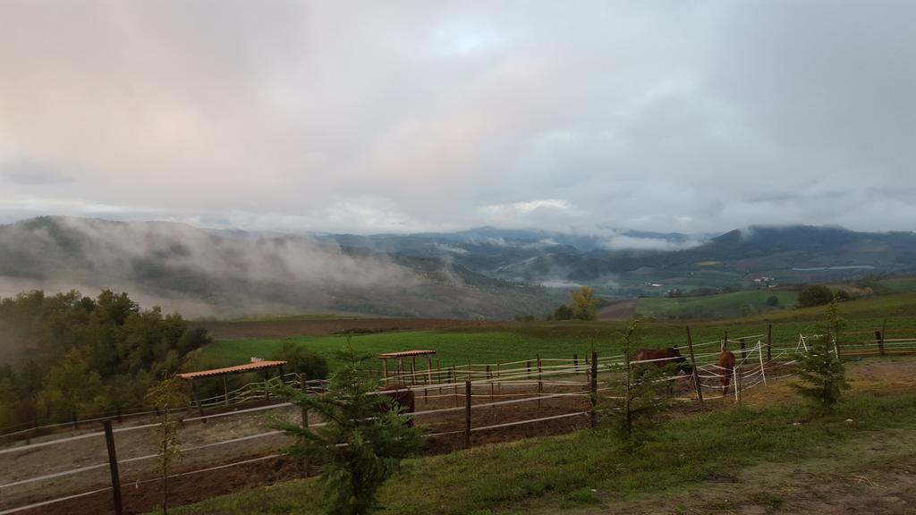 Allevamento B&B Pozzol Groppo ภายนอก รูปภาพ